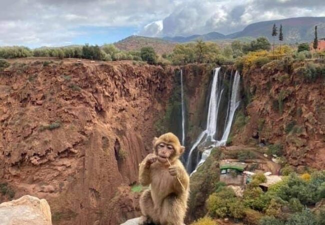 Ouzoud waterfalls one day trip from Marrakech