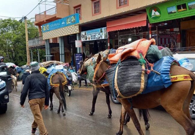 imlil day trip from Marrakech with Go Morocco travel