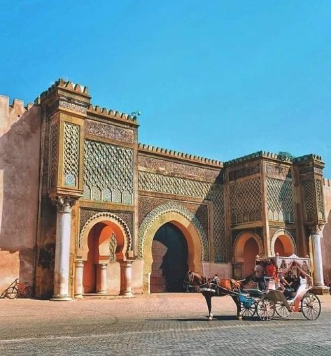 Morocco’s northern and desert landscapes, continue to Meknes, an imperial city with monumental gates and royal palaces,