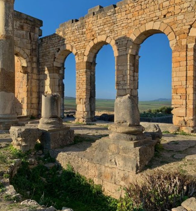 Morocco's Northern & Desert landscapes Volubilis, then visit the ancient Roman ruins of Volubilis, known for its beautifully preserved mosaics.