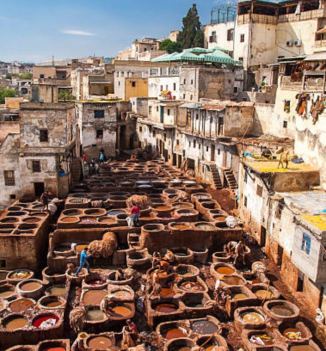 Panoramic view of the Fes medina, an iconic imperial city in Morocco with Go Morocco Travel