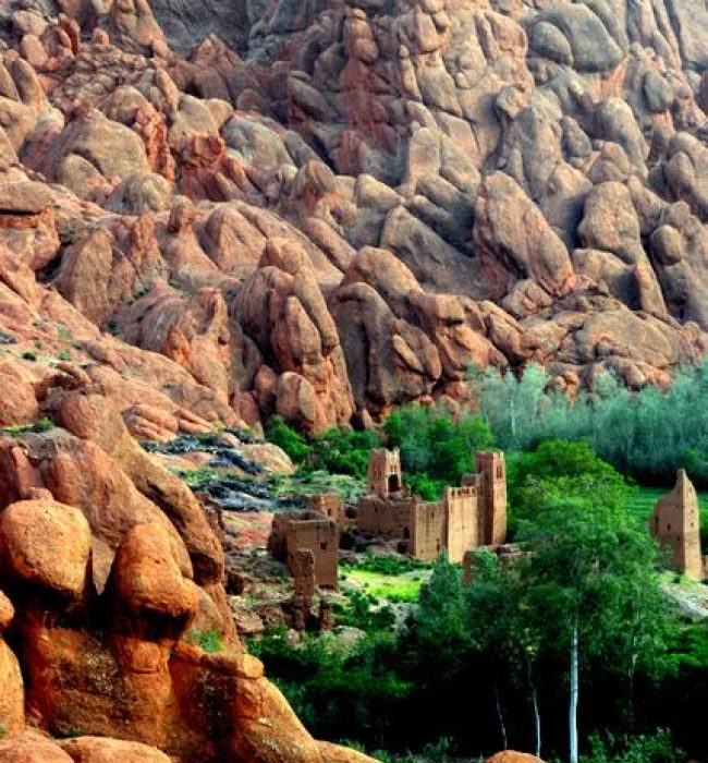 Real Morocco uncovered tour dades monkey fingers with go morocco travel