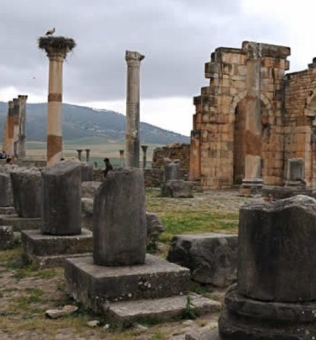 Real Morocco uncovered tour volubilis with go morocco travel