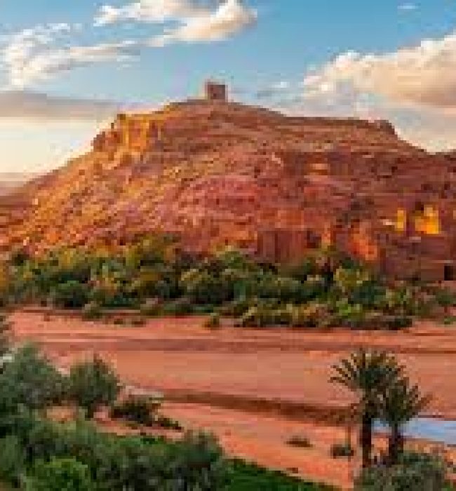 Breathtaking view of the Merzouga Sahara desert at sunrise, showcasing the vast golden sand dunes stretching into the horizon. The serene beauty of this iconic Moroccan landscape is captured in the heart of the Sahara, offering a glimpse into the untouched wilderness and the tranquil beauty of the desert. A perfect image of adventure and nature’s splendor in the Merzouga Sahara, ideal for travel enthusiasts and desert explorers